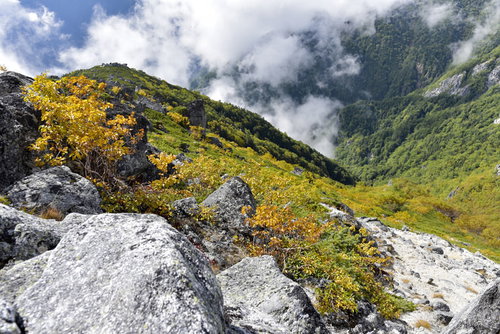 秋の紅葉に染まる鳳凰山の山肌と岩場の登山道