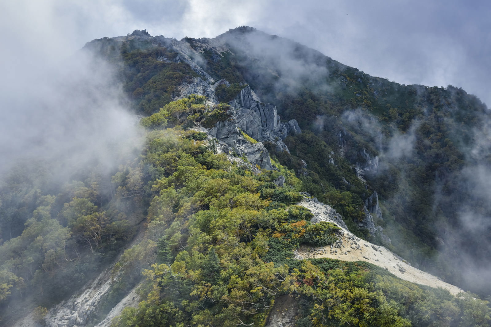 雲に包まれた鳳凰山の稜線を歩く登山道と緑の植生