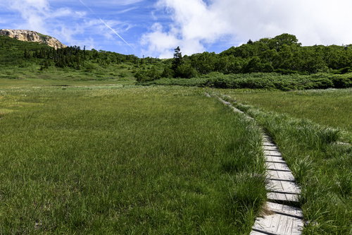 火打山の天狗の庭に張り巡らされた木道と湿原