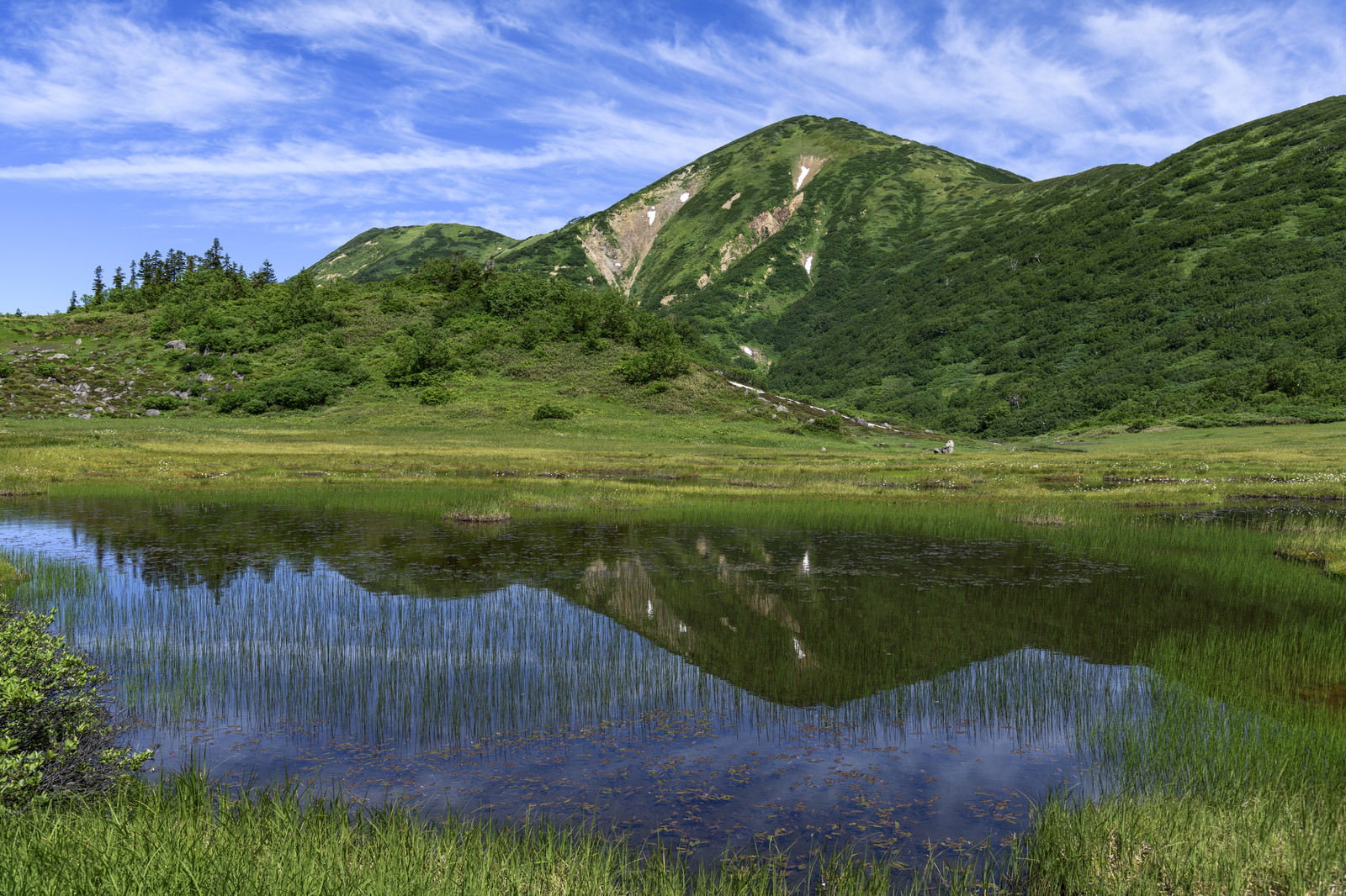 天狗の庭の湿原にある池塘に青空と火打山が美しく反射している風景