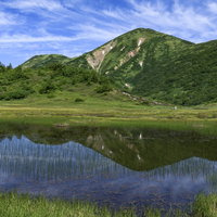 天狗の庭の池塘に青空と火打山を映す湿原の風景の写真