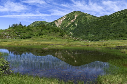 天狗の庭の池塘に青空と火打山を映す湿原の風景