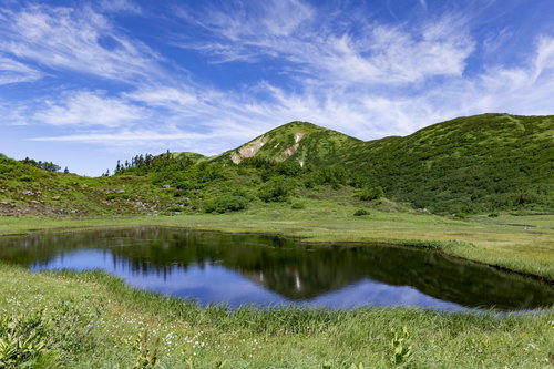 天狗の庭湿原の池塘から見える火打山と湿原の池
