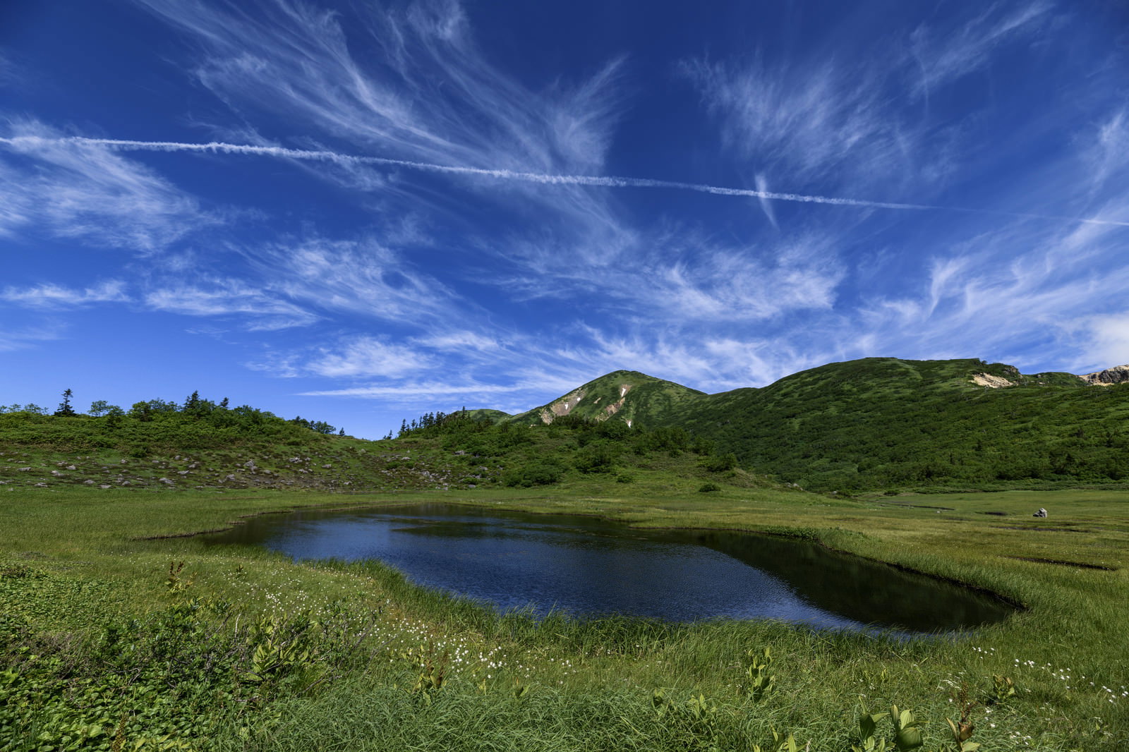 青空の下、緑の湿原に池塘が点在し背景に火打山がそびえる風景