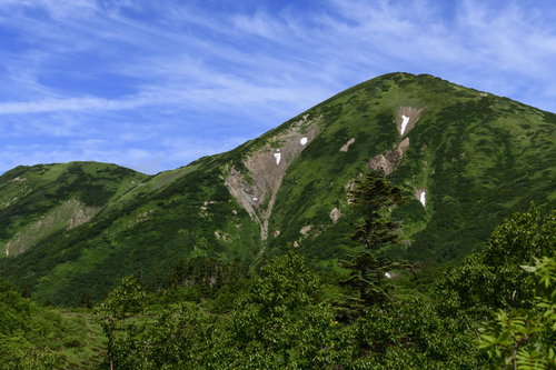 晴天の空の下、緑豊かな火打山山頂方面の稜線