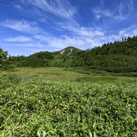 青空に白い雲が浮かぶ、湿原が広がる火打山中腹の景色の写真