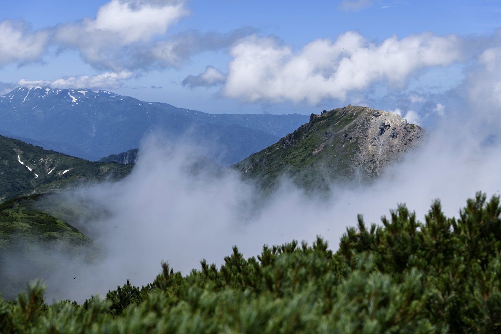 火打山から眺める焼山の山頂、雲海と青空、手前に緑の植生