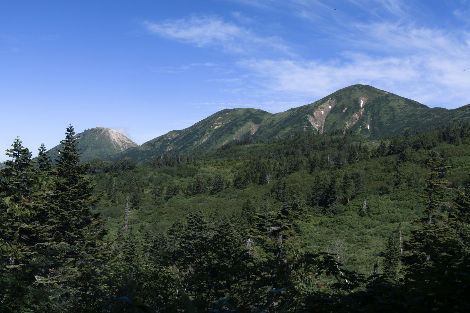 青空の下に緑の森林に覆われた火打山と新潟焼山の山岳風景