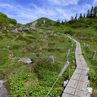 火打山のロックガーデンを進む木道から眺める山頂方面の写真