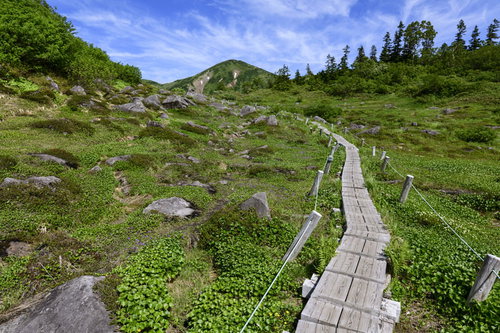 火打山のロックガーデンを進む木道から眺める山頂方面