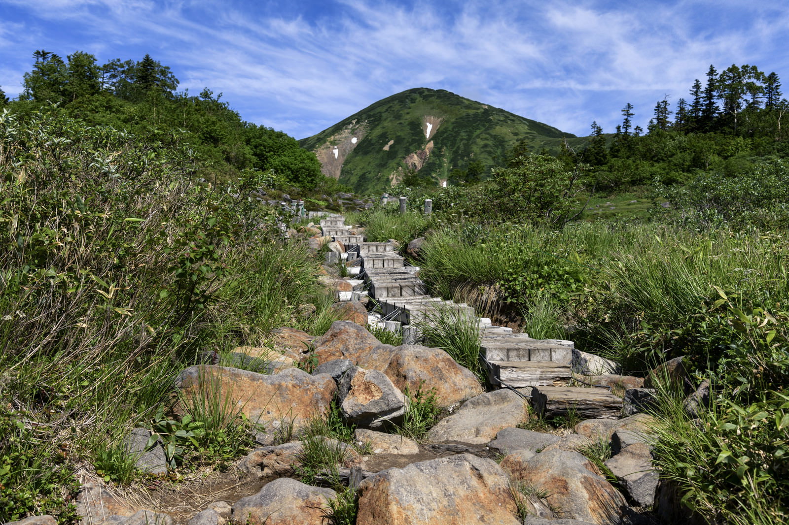 火打山の夏の木製階段登山道