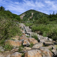 火打山の夏山登山道（木製階段）の写真