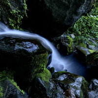 日本百名山・火打山を流れる清らかな小さな滝と苔むした岩肌の写真