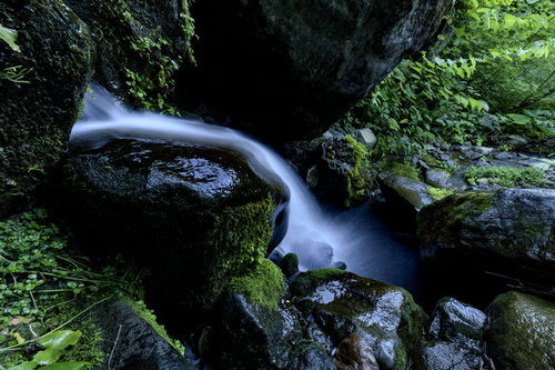 日本百名山・火打山を流れる清らかな小さな滝と苔むした岩肌