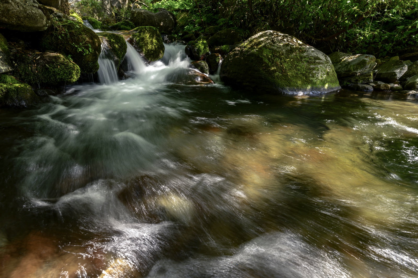 火打山の黒沢で苔むした岩の間を流れる渓流と水しぶき