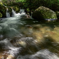 火打山の黒沢を流れる苔むした岩間の渓流 登山道の写真
