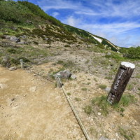 日本百名山・火打山のライチョウ平に立つ木製指導標の写真
