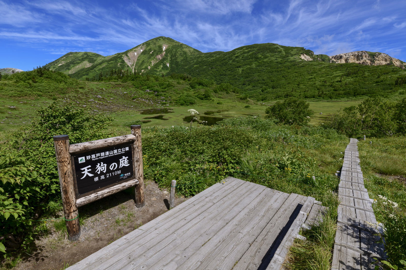 火打山天狗の庭の湿原に立つ案内看板と山並みの風景