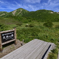 火打山天狗の庭の湿原と案内看板、木道の風景の写真