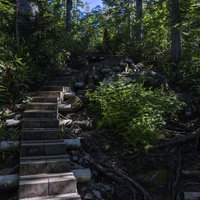 新潟県笹ヶ峰から火打山へと続く木道と新緑の登山道の写真