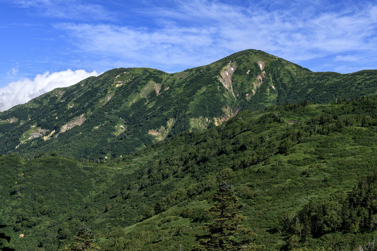 青空の下に緑豊かな頚城山塊最高峰の火打山の山容