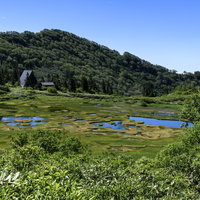 高谷地ヒュッテと火打山の高層湿原の写真