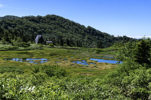 高谷地ヒュッテと火打山の高層湿原