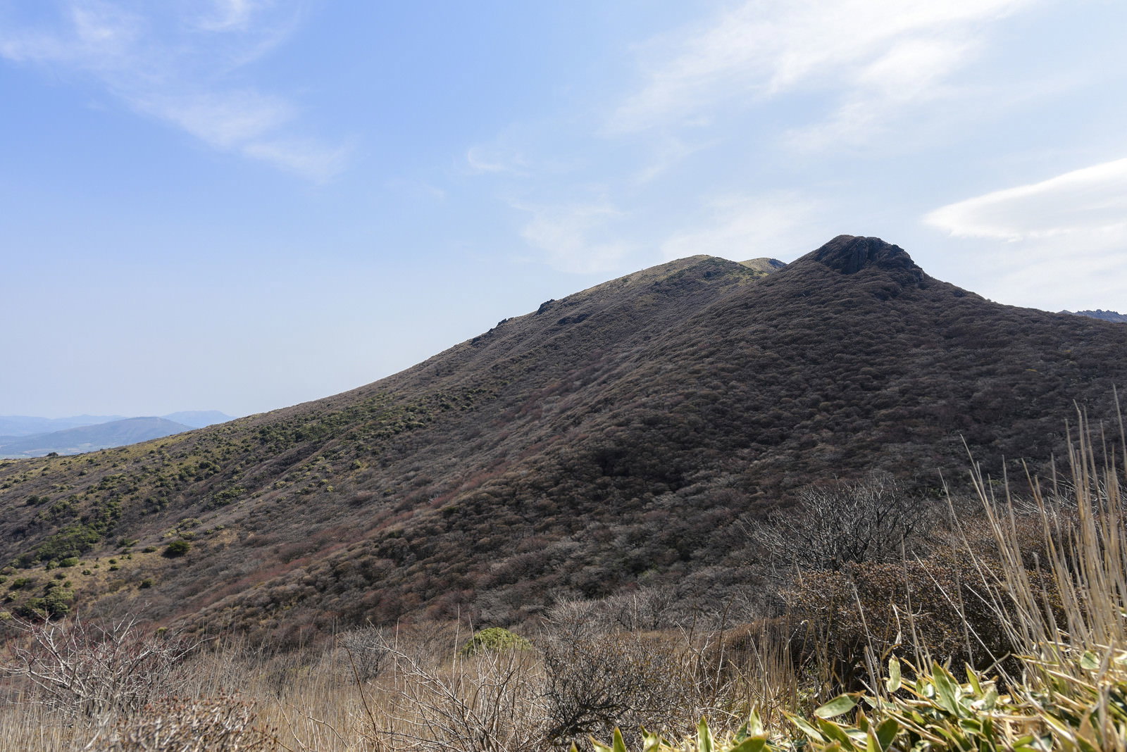 青空の下に広がる久住山のなだらかな山容と手前の草原