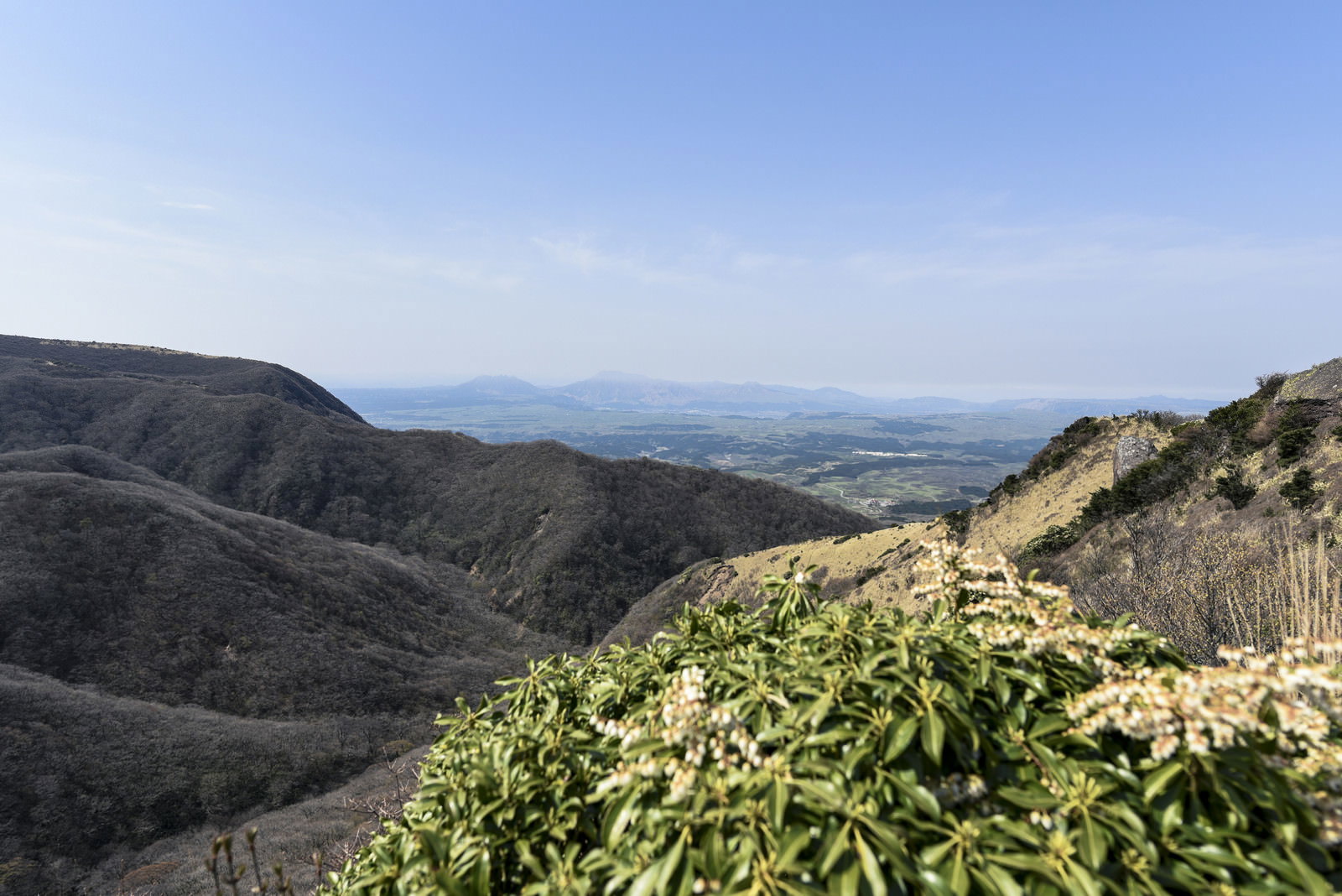 久住山から眺める阿蘇山の遠景と手前に広がる緑の植物