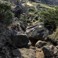 牧ノ戸峠から久住山へ向かう登山道、苔むした岩場の景色（大分県）の写真