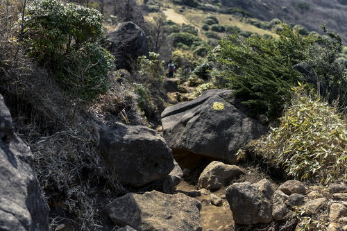 牧ノ戸峠から久住山へ向かう登山道、苔むした岩場の景色（大分県）
