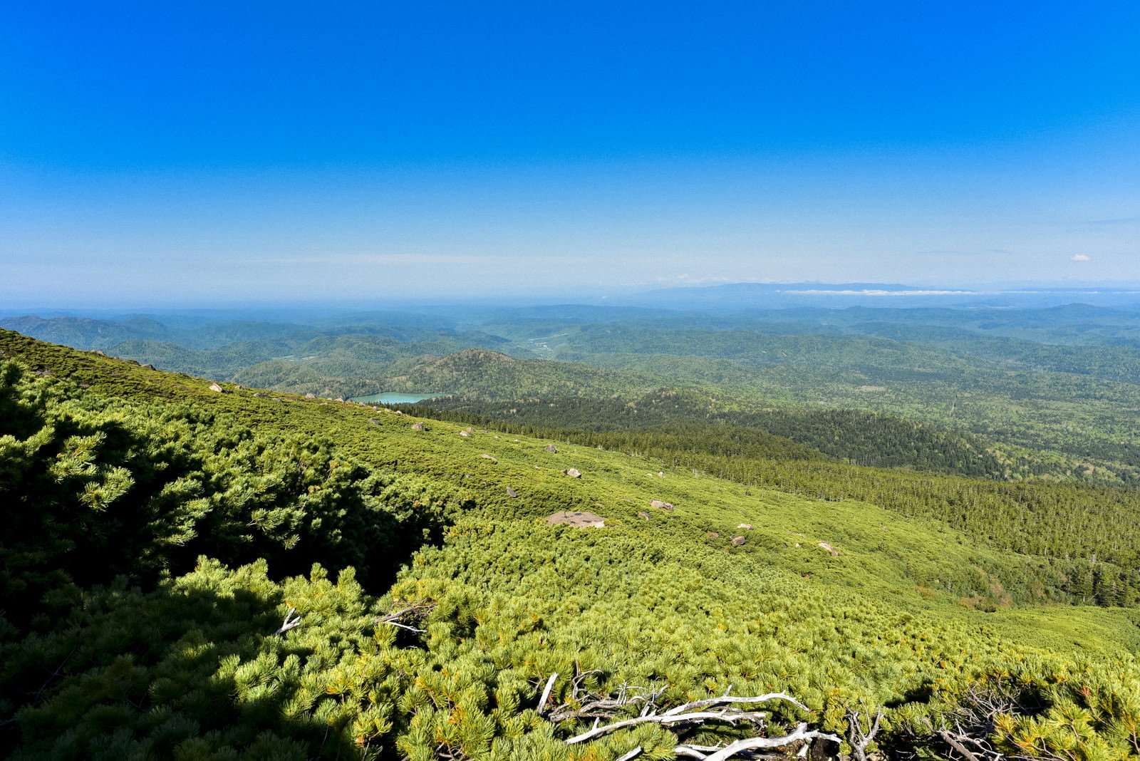 ハイマツが群生する雌阿寒岳の山頂付近と遠方に広がる山々の風景