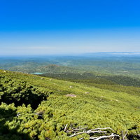 ハイマツが一面に広がる雌阿寒岳の山頂付近の写真