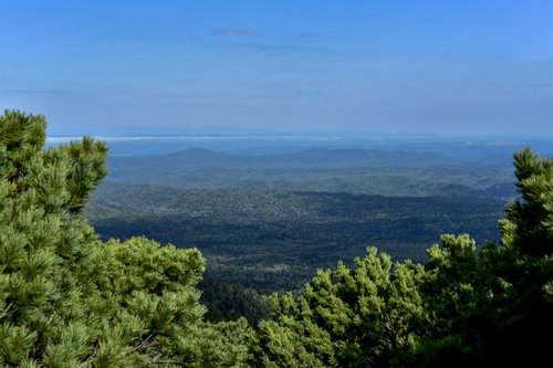 ハイマツ林から見る道東日高方面の景色（日本百名山・雌阿寒岳）