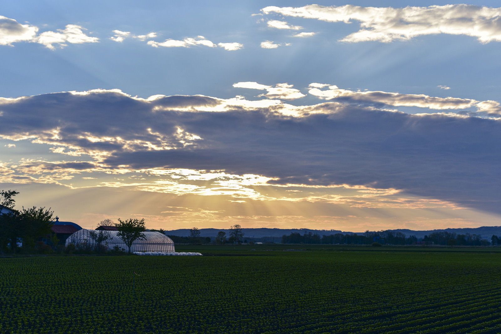 朝焼けの空の下、十勝の緑豊かな農地が広がり、遠景に雌阿寒岳が見える風景