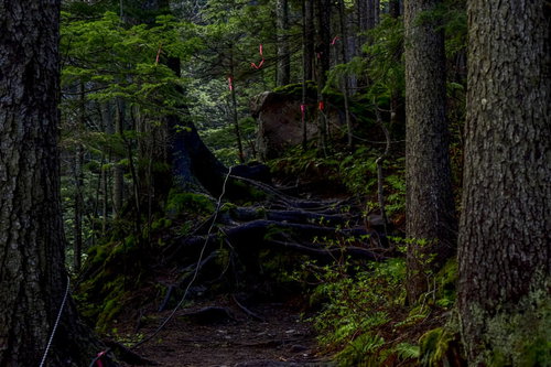 日本百名山の雌阿寒岳、赤いテープが張り巡らされた登山道