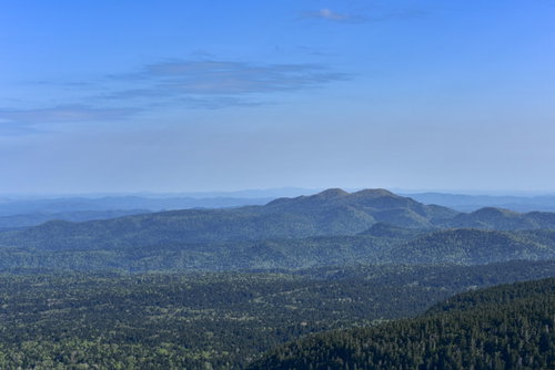 道東の原生林が広がる樹林の景色、雌阿寒岳の山々を望む