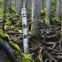 日本百名山・雌阿寒岳二合目の白い道しるべの写真