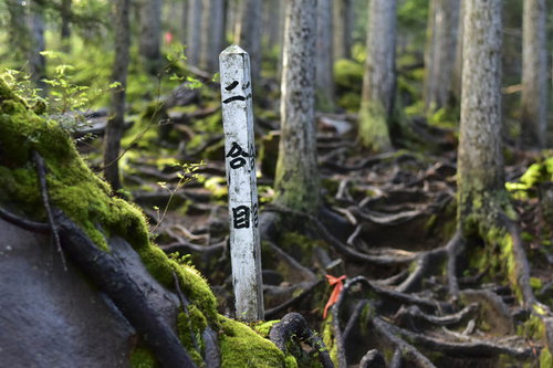 日本百名山・雌阿寒岳二合目の白い道しるべ