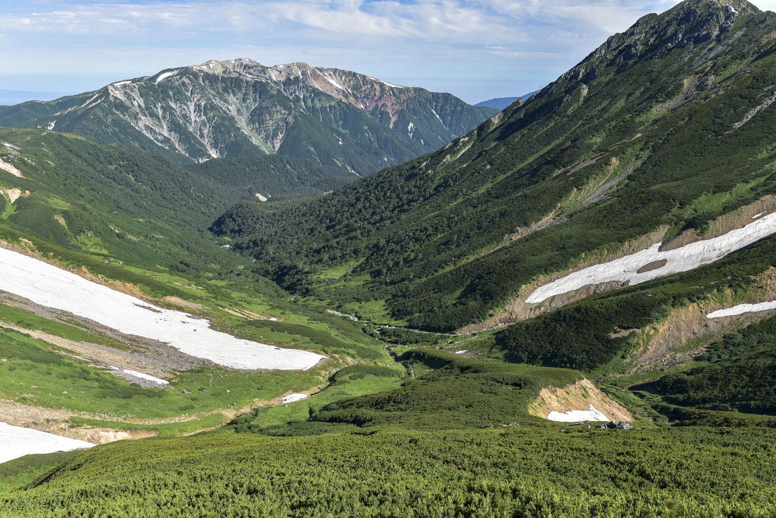 ワリモ岳分岐から見た薬師岳と水晶岳の山岳風景、緑の斜面に残雪