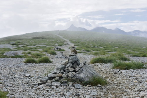 双六岳山頂のケルンとガスの向こうに見える槍ヶ岳