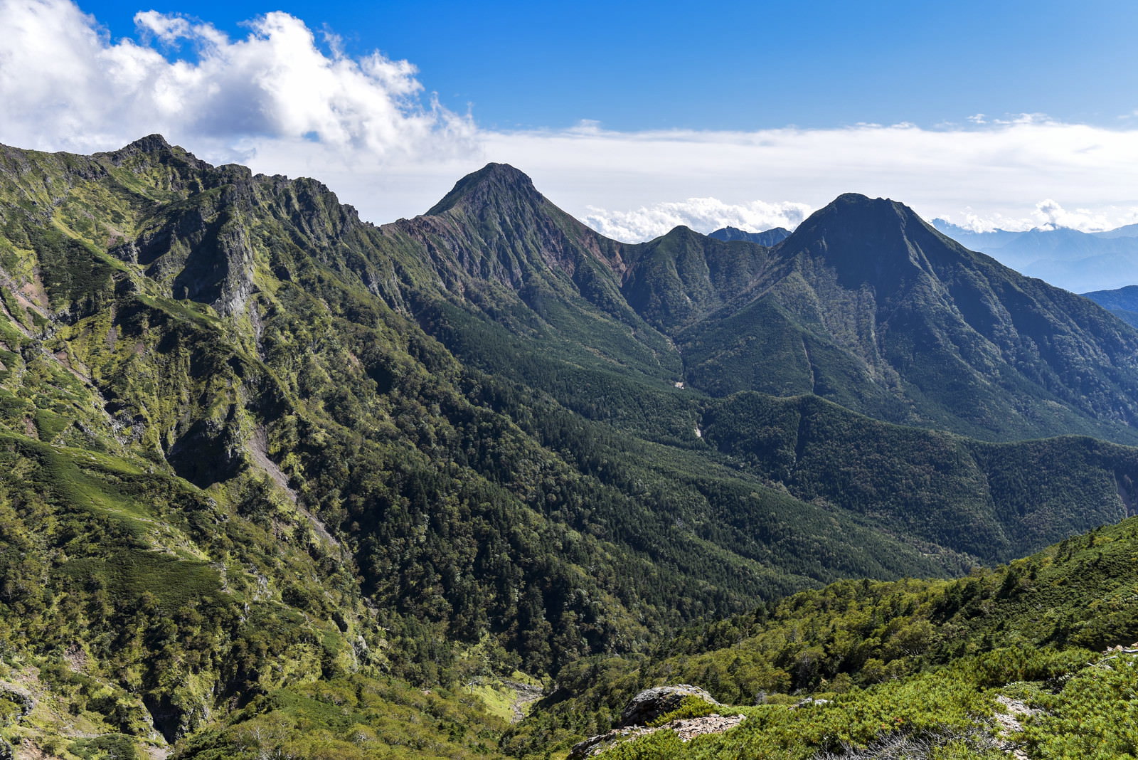 八ヶ岳連峰の赤岳と横岳を中心とした緑豊かな山並みの景色