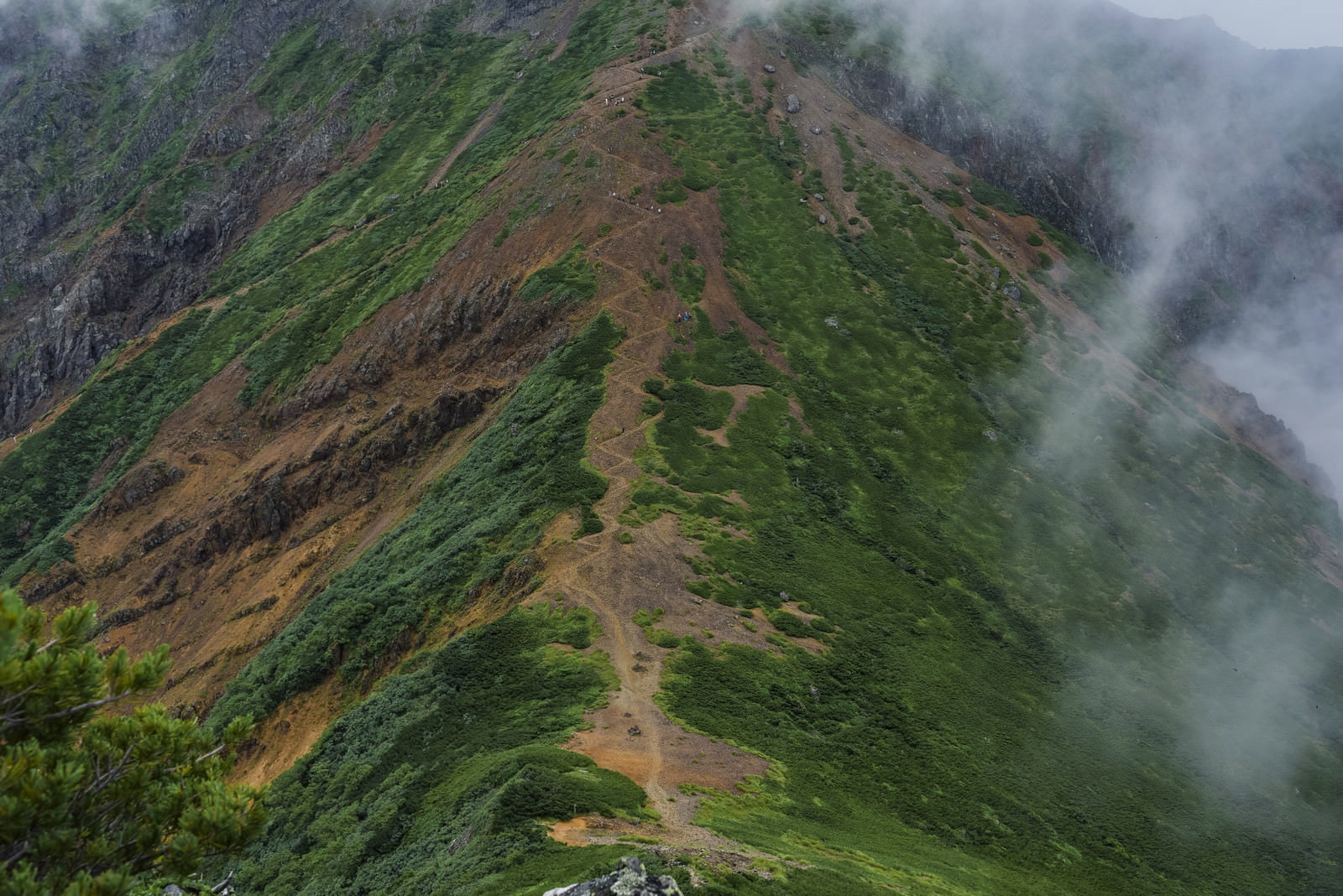 霧に包まれた赤岳の文三郎尾根登山道を上空から撮影した山岳風景