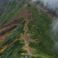 ガスを纏う文三郎尾根登山道（赤岳・100名山）の写真