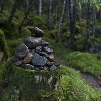八ヶ岳の赤岳の森に積まれたケルン〜登山道の積み石の写真