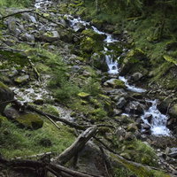 八ヶ岳の100名山・赤岳山中をさらさらと流れる小さな渓流の写真