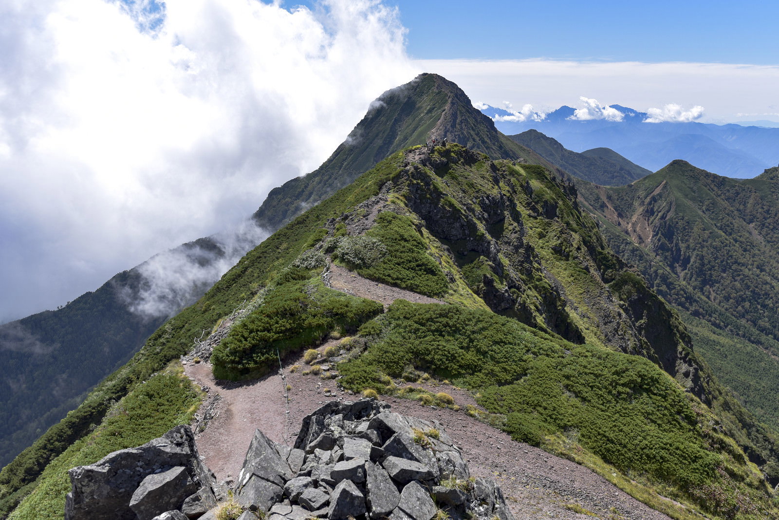 横岳登山道から眺める赤岳の雄大な山容と緑の稜線