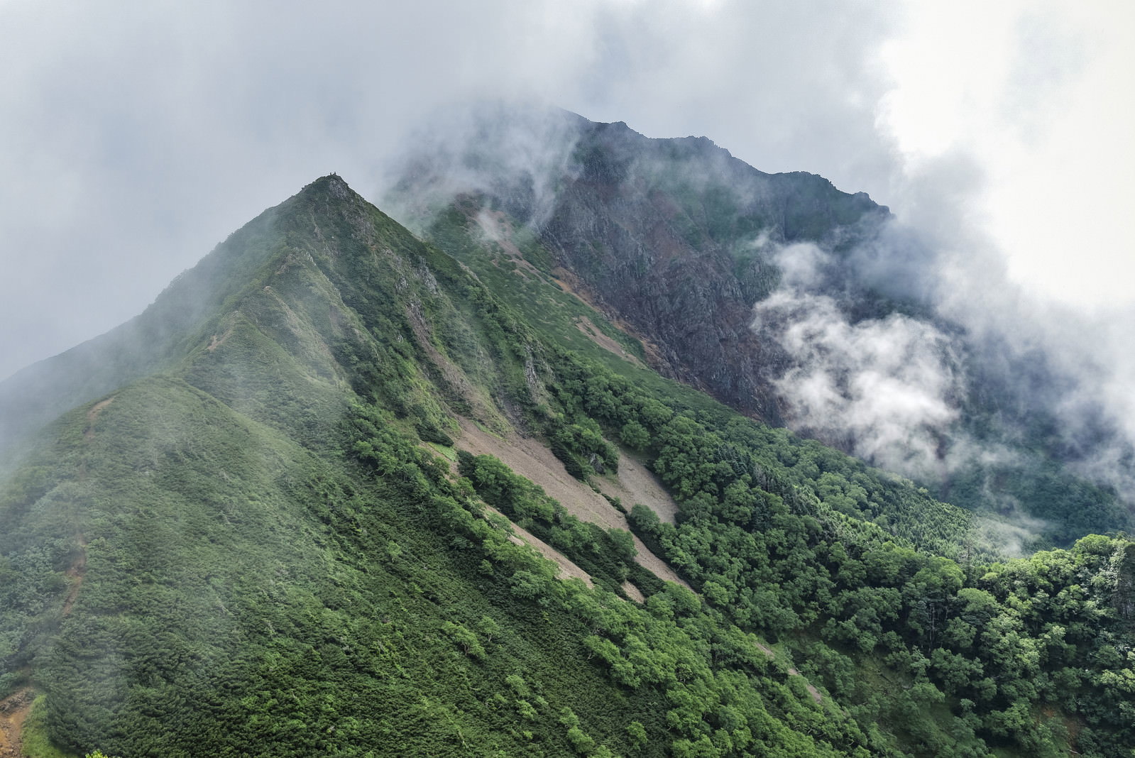霧と雲に包まれた緑豊かな八ヶ岳の山稜と登山道