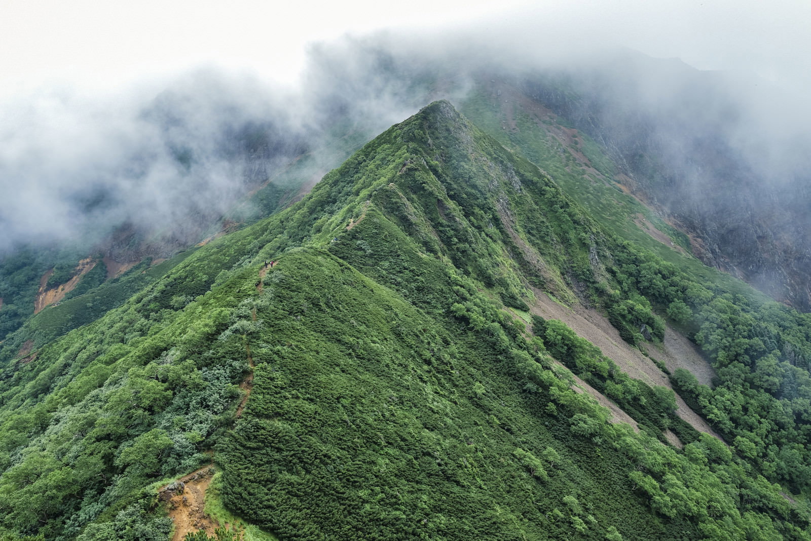 赤岳方面から見た阿弥陀岳側の登山道