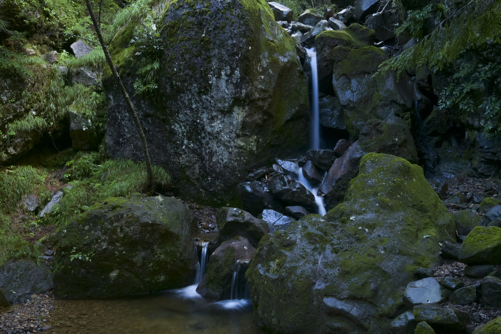 緑の苔に覆われた岩の間を流れ落ちる小さな滝